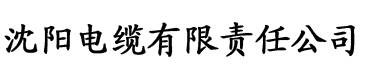 午夜精品久久久久久影视riav电缆厂logo